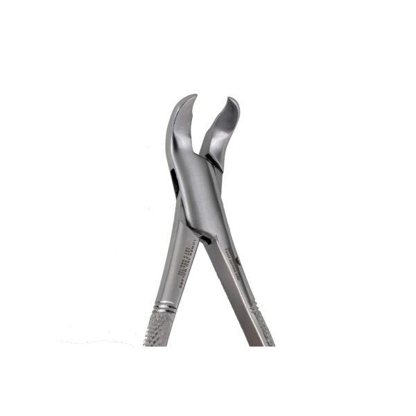 5 3rd Lower Molars Extraction