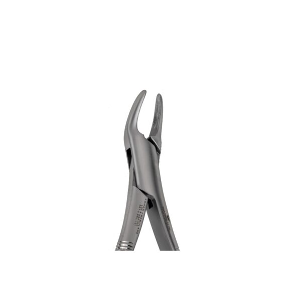 151 Lower incisors ,Canines PreMolars