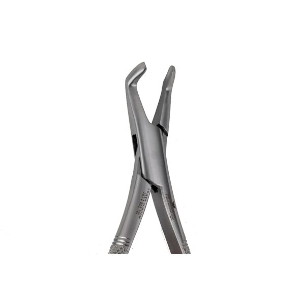 222 3rd Lower Molars Extraction