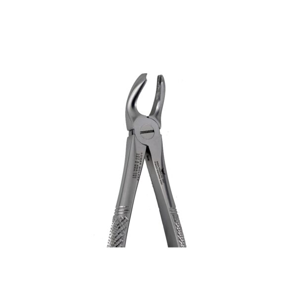 21 Lower Molars Extraction
