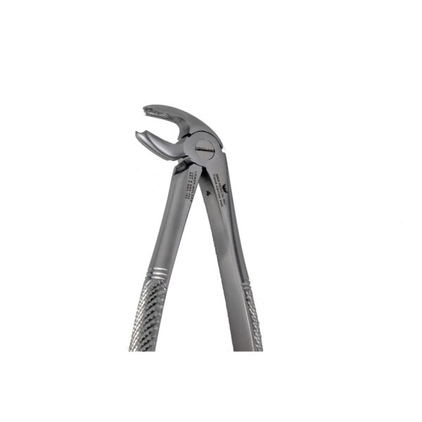 22 Lower Molar Extraction