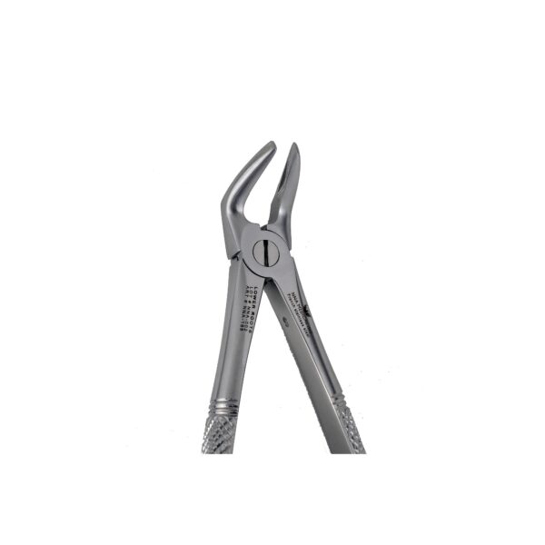 31 Lower Roots Extraction