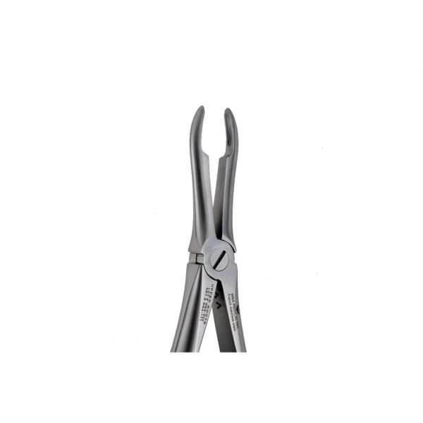 44 Upper Roots Extraction