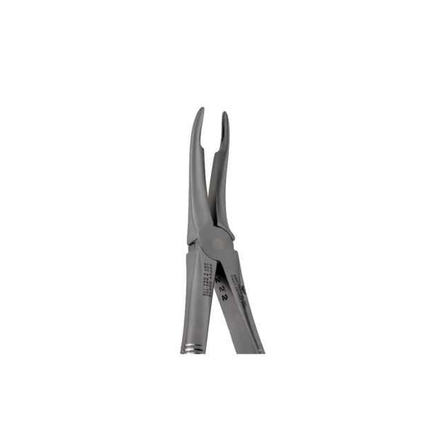 49 Upper Roots Extraction