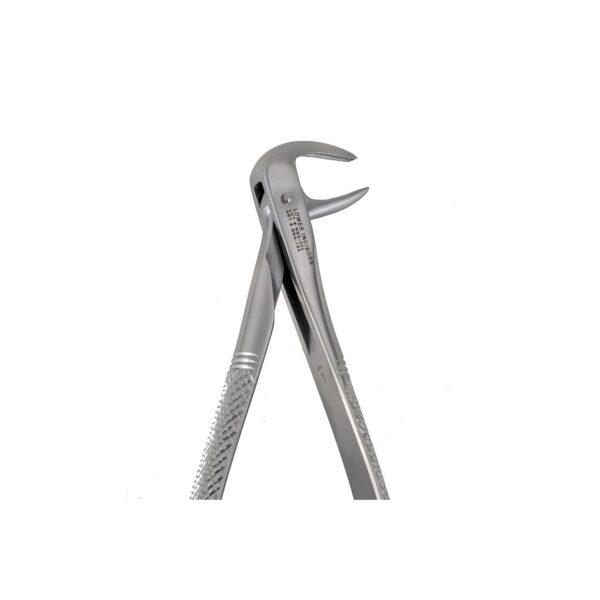 74N Lower Incissors Extraction Forceps