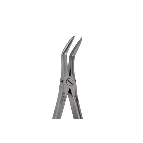 F19 Lower Roots Extraction Forceps