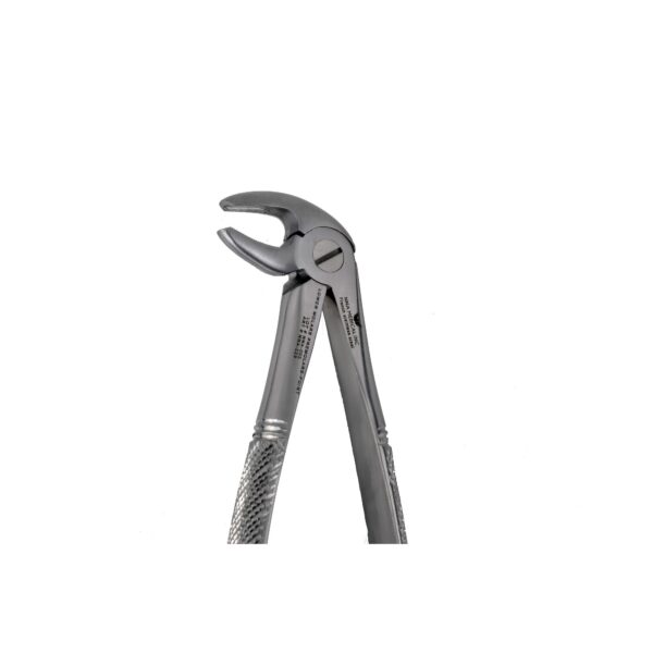 MD3 Lower Molars & PreMolars Point