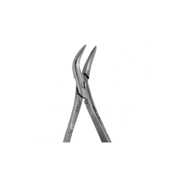 Lower Root Extraction Forceps