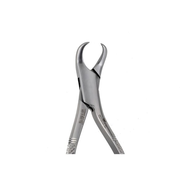 16S 1st and 2nd Lower Molars Extraction