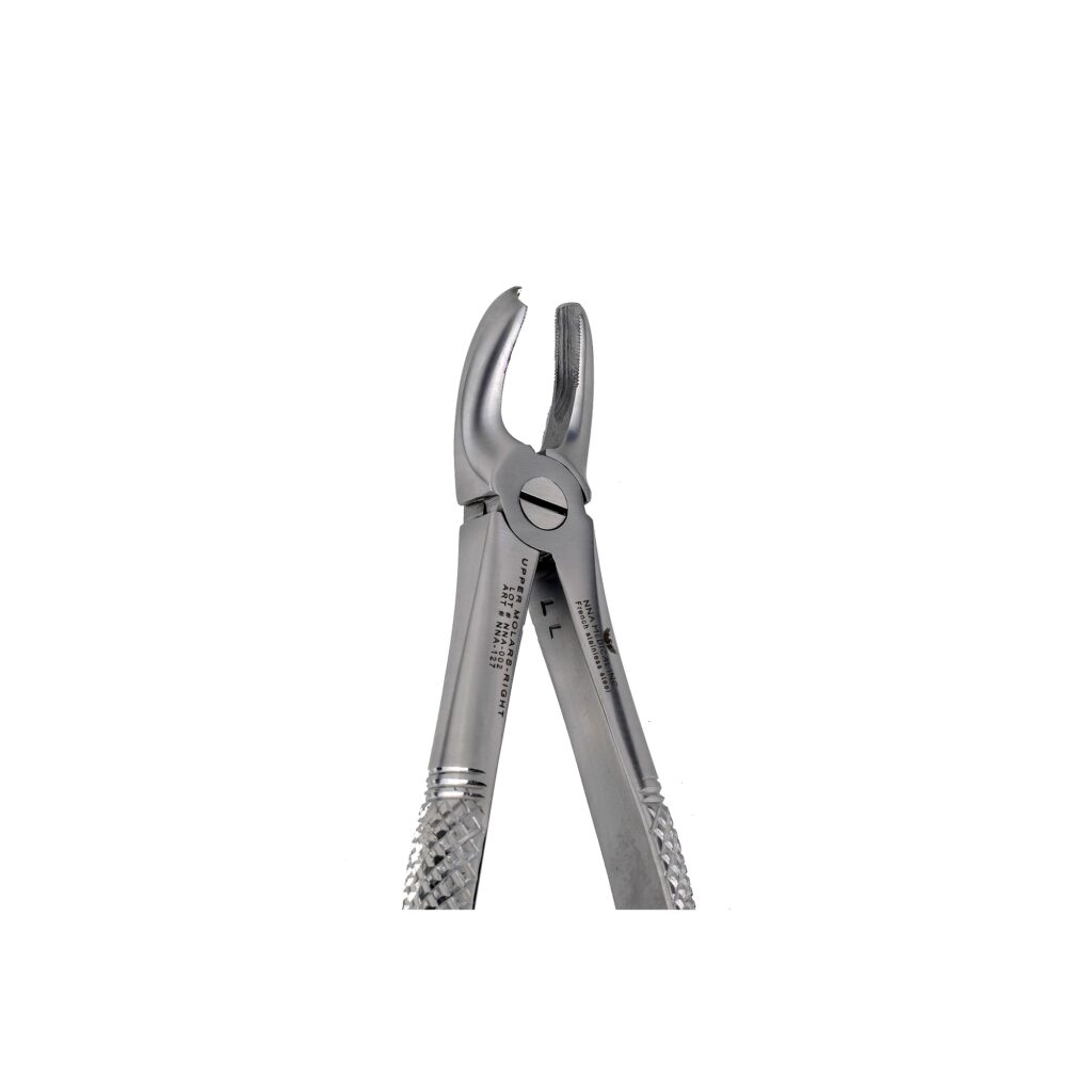 17 Upper Molars Right - NNA Medical Canada