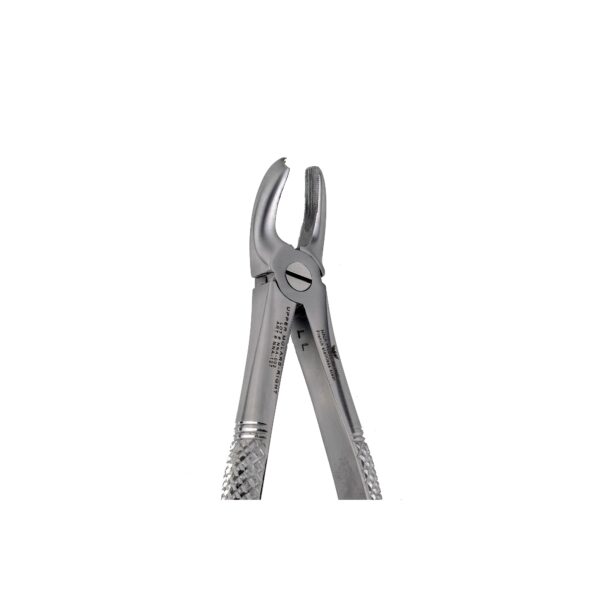 17 Upper Molars Right - NNA Medical Canada