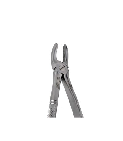 18 Upper Molar Extraction - NNA Medical Canada