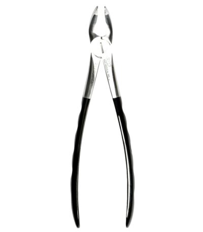 217 Atraumair Forceps 1st and 2nd Molars - NNA Medical Canada