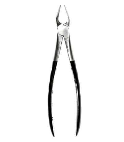 35 Atraumair Apical Forceps Upper CanPremolar dental extraction forceps