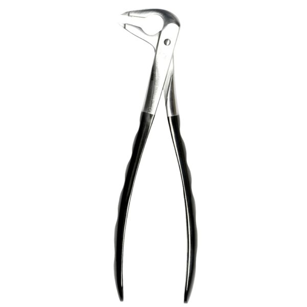 36 Atraumair Forceps Lower Incisors dental extraction forceps