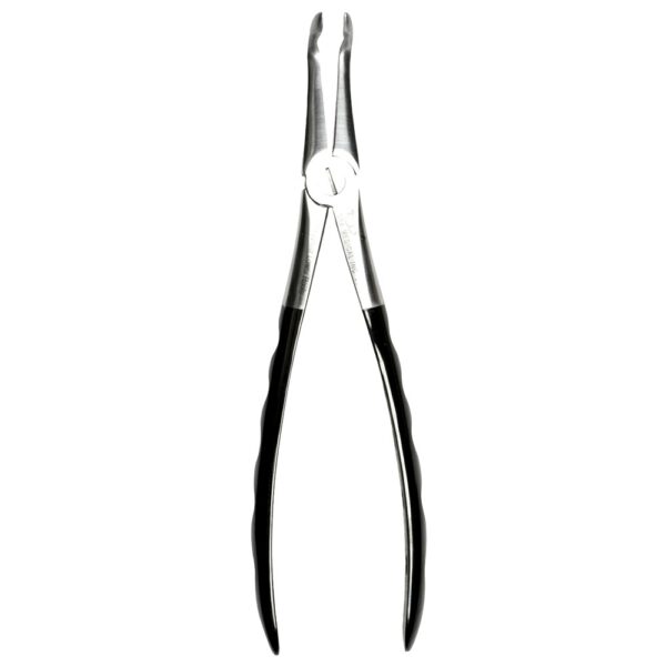 45 Atraumair Forceps Serrated Lower Root dental extraction forceps
