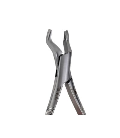 53L Left 1st and 2nd Upper Molars pointed Beak - NNA Medical Canada
