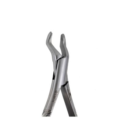 53R Right 1st and 2nd Upper Molars pointed Beak - NNA Medical Canada