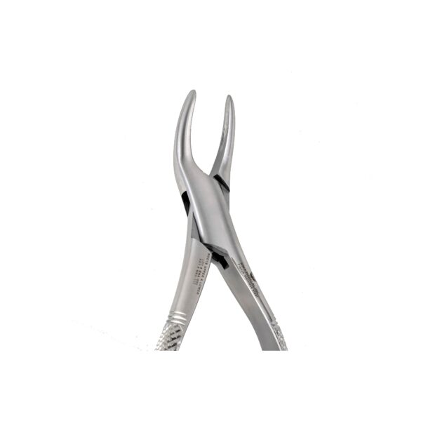 69 Fragments & Upper &Lower Roots - NNA Medical Canada