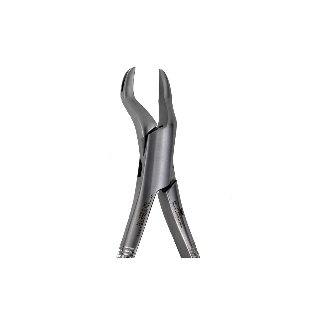 88L Left 1st and 2nd Upper Molars - NNA Medical Canada