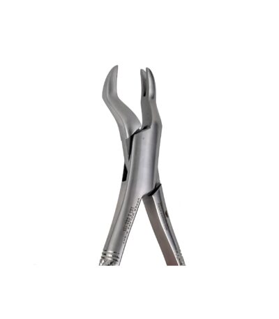 88R Right 1st and 2nd Upper Molars dental extraction forceps