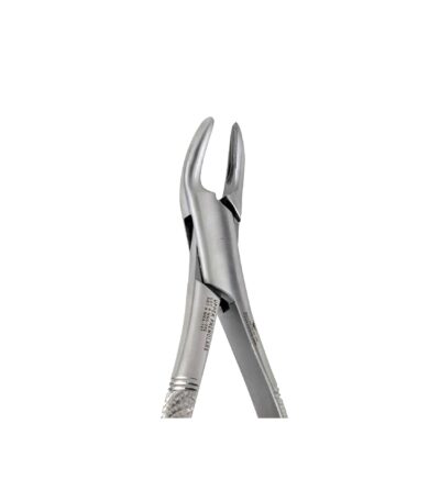 150 Upper Premolars Incisors Root Canines - NNA Medical Canada