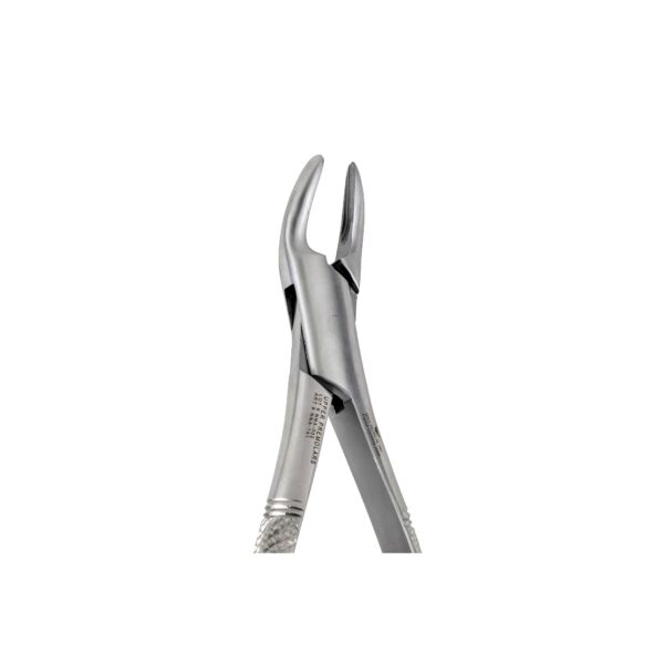 150 Upper Premolars Incisors Root Canines - NNA Medical Canada