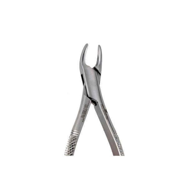 150S Upper PreMolars Extraction for kids Extraction - NNA Medical Canada