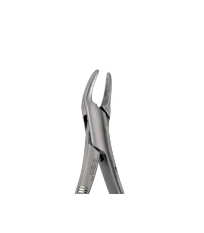 151 Lower incisors ,Canines PreMolars - NNA Medical Canada