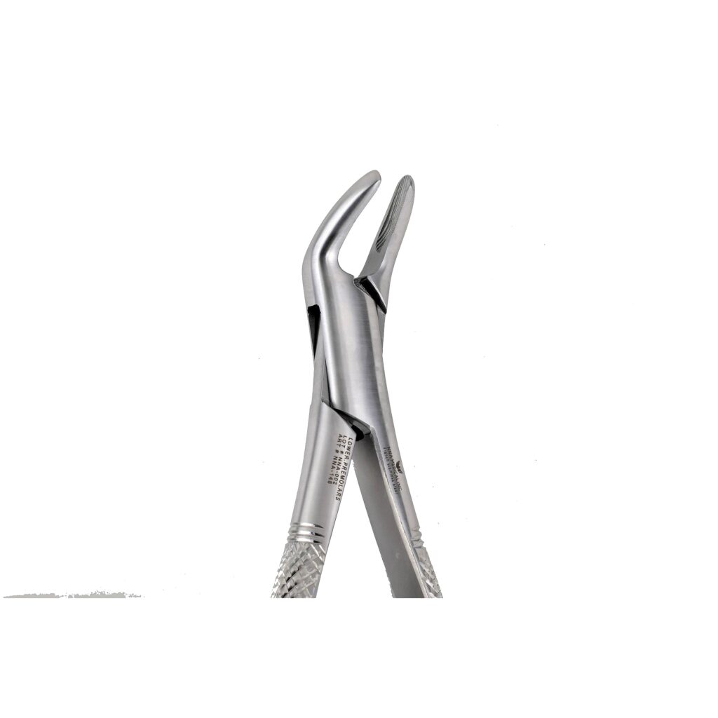 151A Upper incisors ,Canines Premolars - NNA Medical Canada