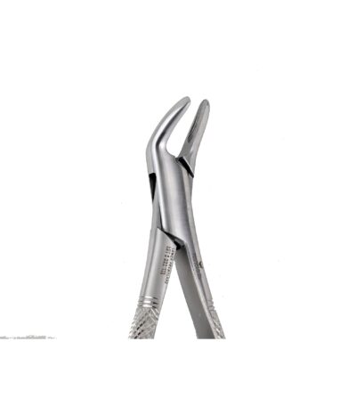 151A Upper incisors ,Canines Premolars - NNA Medical Canada