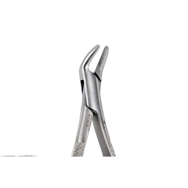 151A Upper incisors ,Canines Premolars - NNA Medical Canada