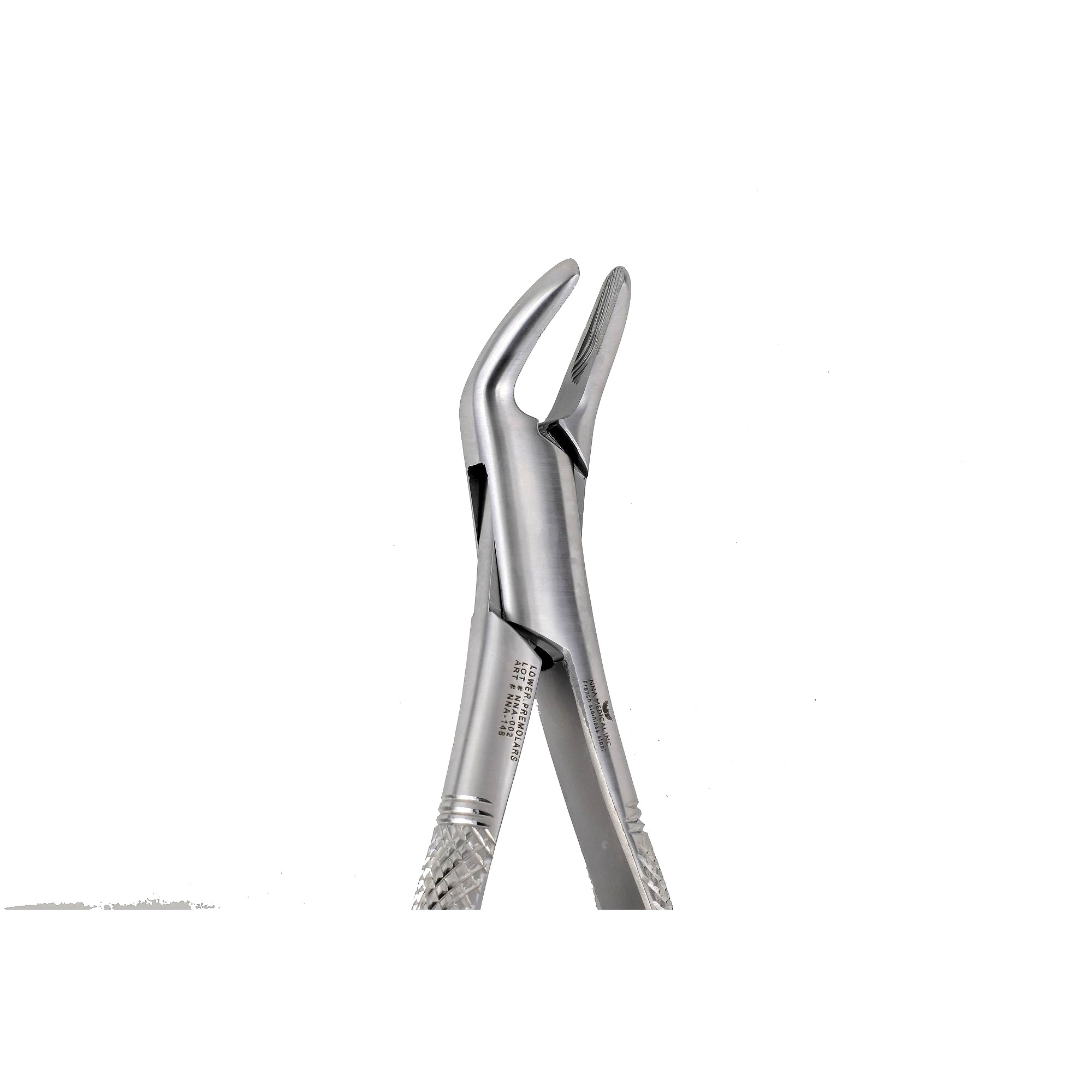 151A UPPER INCISORS ,CANINES PREMOLARS - NNA MEDICAL CANADA