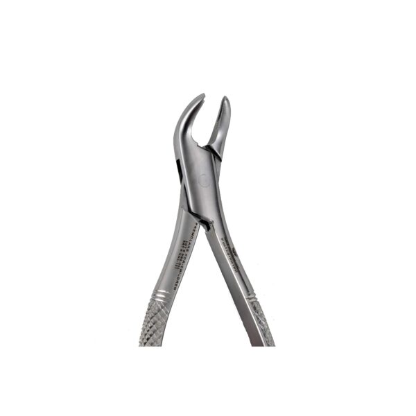 151S Lower Premolars Extration for Kids - NNA Medical Canada