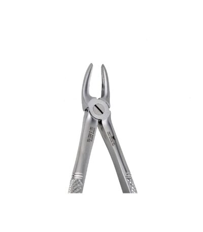 30 Upper Roots Extraction - NNA Medical Canada