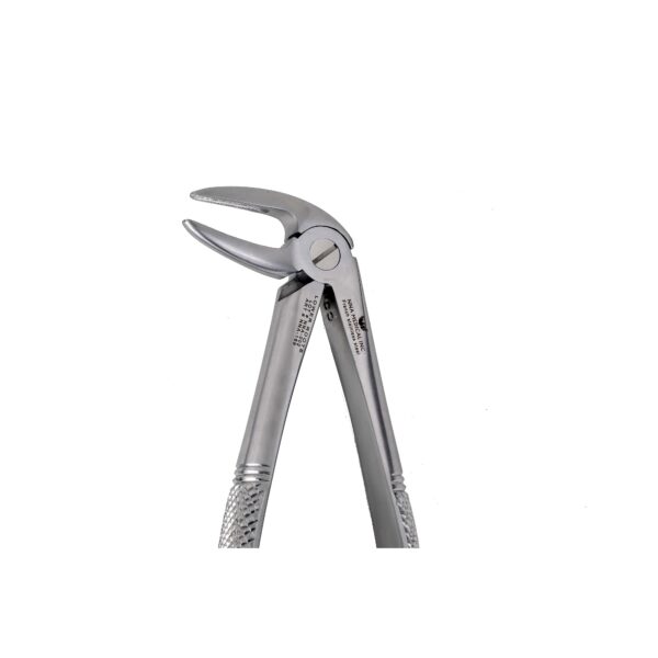 33M Lower Roots Long Beak - NNA Medical Canada