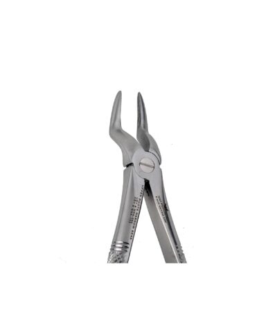 51A Upper Roots Pointed Beak - NNA Medical Canada