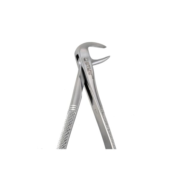 74N Lower Incissors Extraction Forceps - NNA Medical Canada