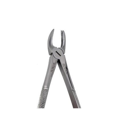 89 Right Upper Molars - NNA Medical Canada