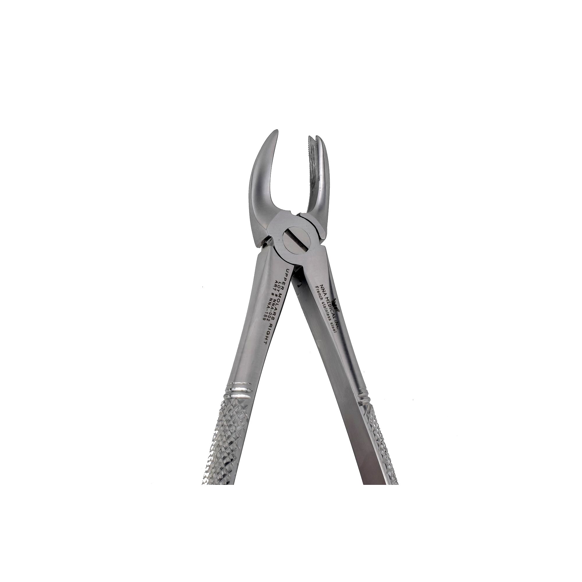 89 RIGHT UPPER MOLARS - NNA MEDICAL CANADA