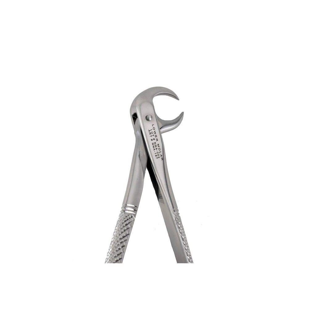 86A Cow Horn Lower Morlas Extraction Forceps - NNA Medical Canada