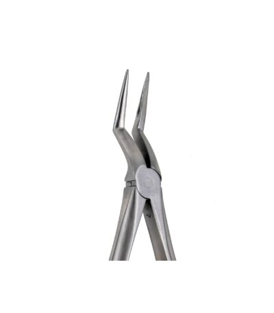 Upper Root Extraction Forceps Fine Beak - NNA Medical Canada