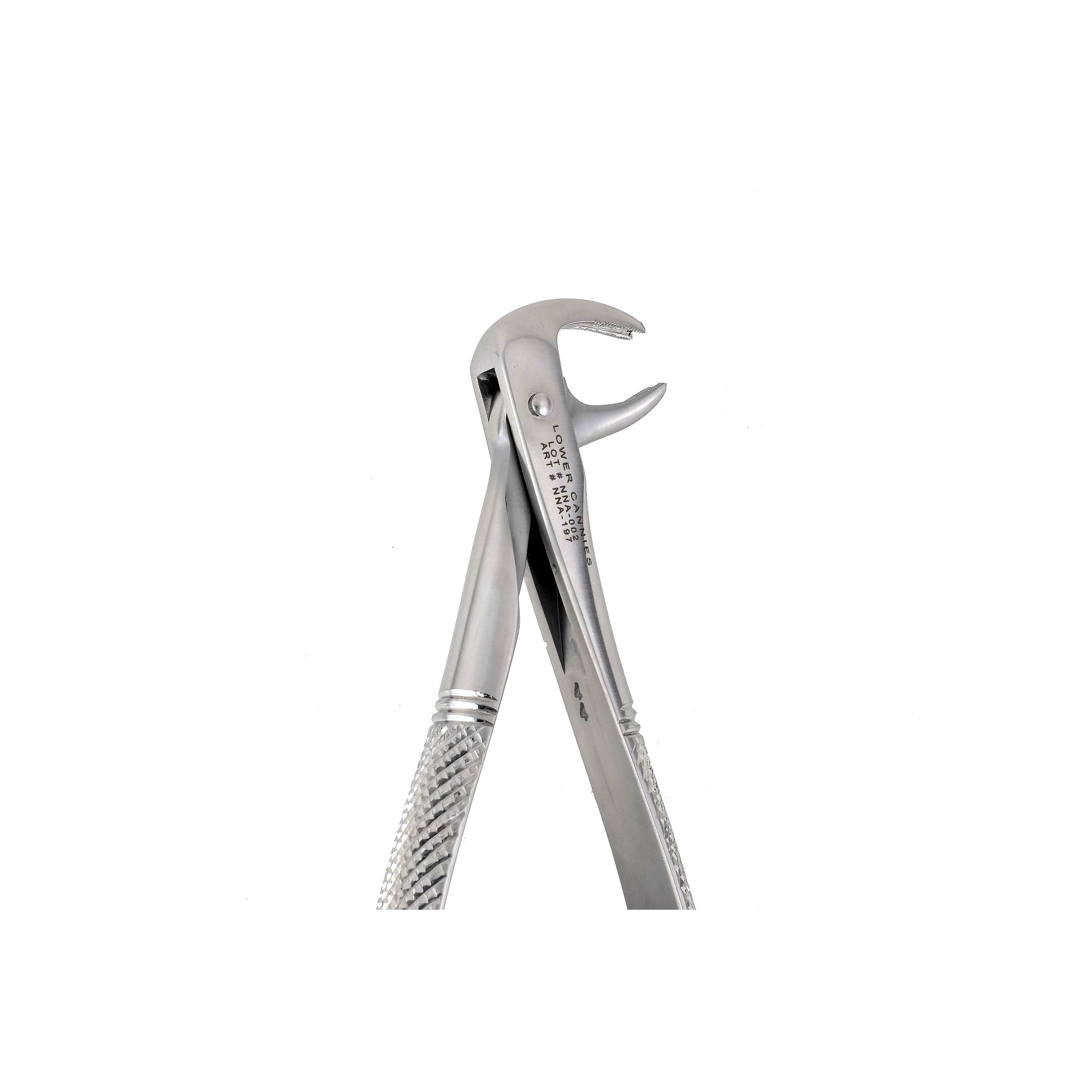 169 LOWER CANINES EXTRACTION FORCEPS - NNA MEDICAL CANADA