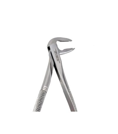 F4N Lower Anterior Extraction Forceps - NNA Medical Canada