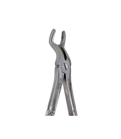 F6 Upper 3rd Molars Extraction Forceps - NNA Medical Canada