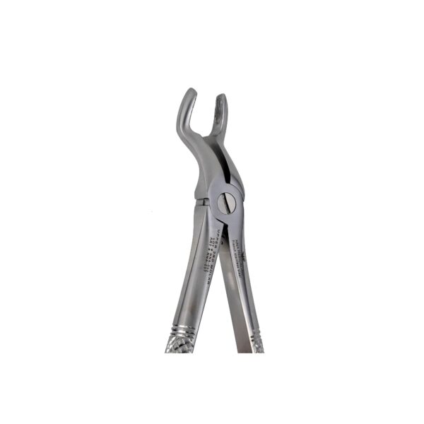 F6 Upper 3rd Molars Extraction Forceps - NNA Medical Canada