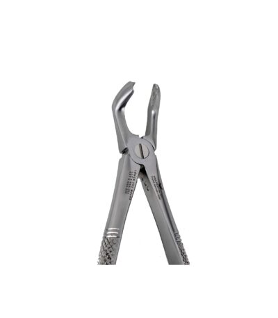 F7 Lower 3rd Molar Extraction Forceps - NNA Medical Canada