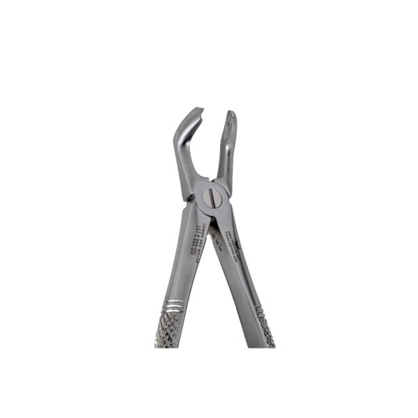 F7 Lower 3rd Molar Extraction Forceps - NNA Medical Canada
