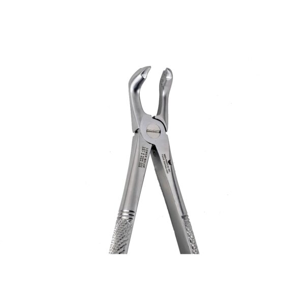 F7C Lower Molar, Cow Horn Modified Extraction Forceps - NNA Medical Canada