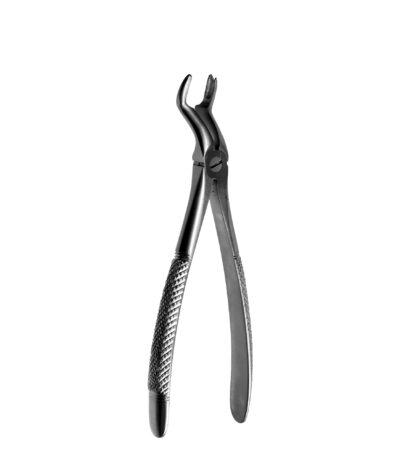 F12 Right Upper Molars - NNA Medical Canada